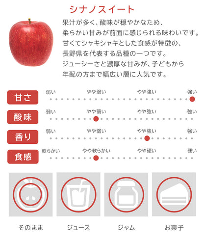 【りんご】 飯綱町産 シナノスイート 10kg（ 40～46玉 ） 贈答用 送料込 10月下旬以降順次発送 長野県 飯綱町 みつどんマルシェ