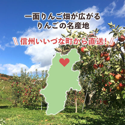 【りんご】 シナノリップ 10kg 8月下旬以降順次発送 送料込 長野県 飯綱町 贈答用 みつどんマルシェ
