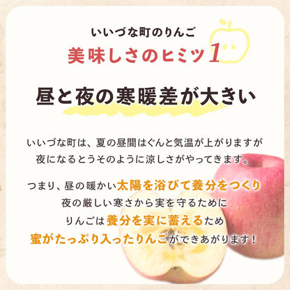 【りんご】 シナノドルチェ 3kg 予約販売 9月中旬以降順次発送 送料込 長野県 飯綱町 家庭用 訳あり みつどんマルシェ