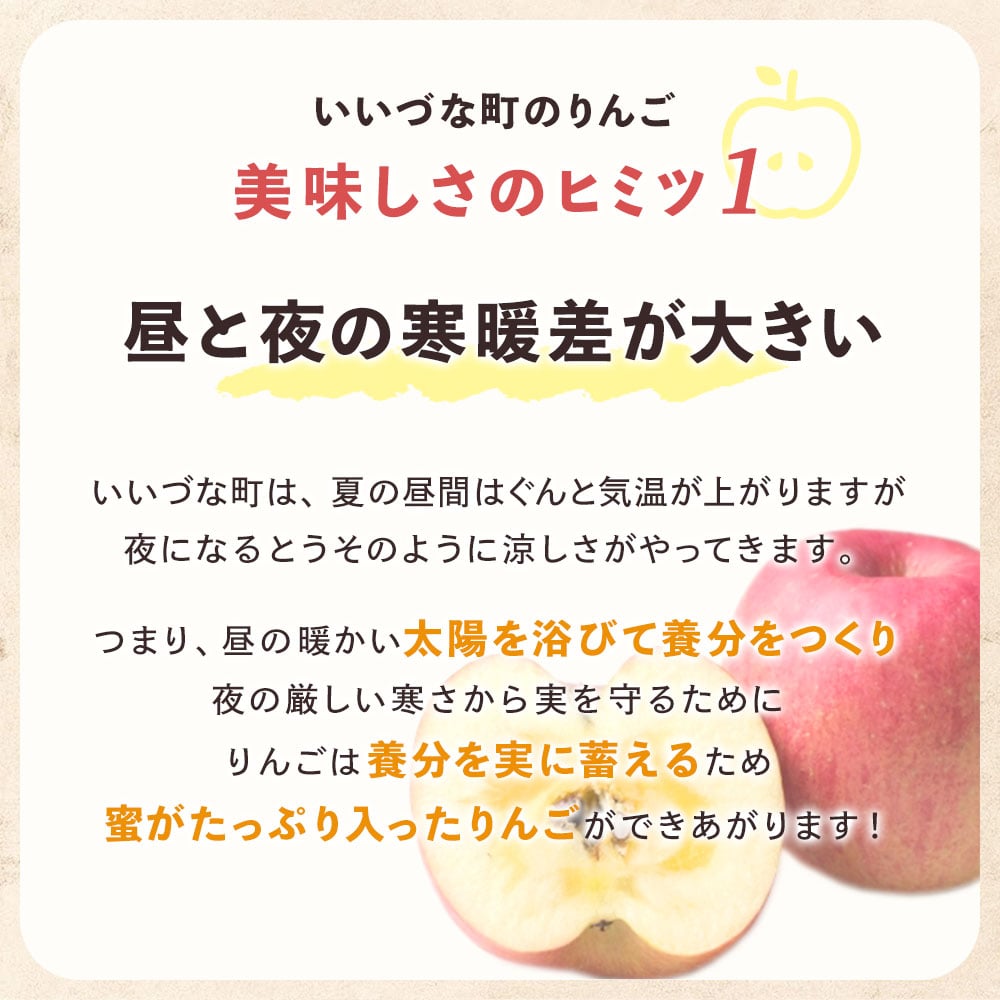 【りんご】 グラニースミス 10kg 予約販売 11月下旬以降順次発送 送料込 長野県 飯綱町 贈答用 みつどんマルシェ