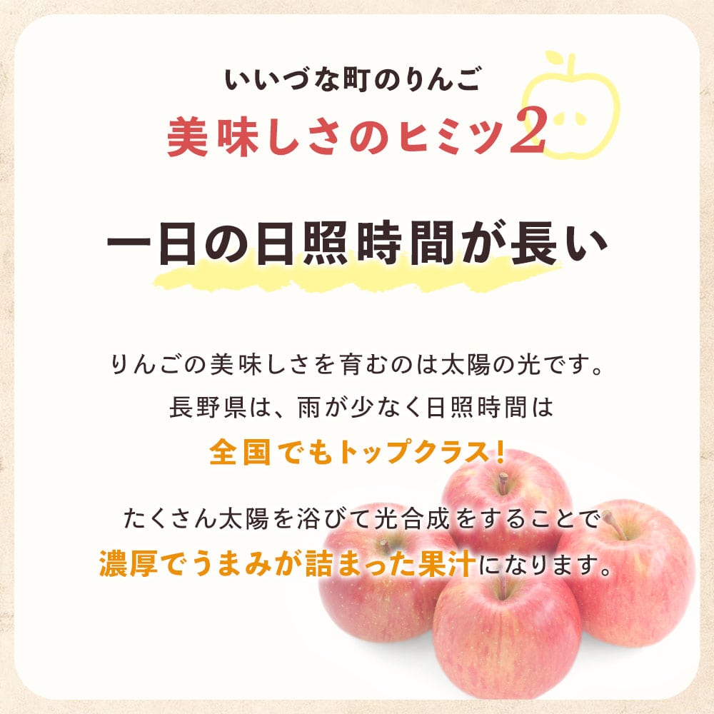 【りんご】 シナノリップ 10kg 8月下旬以降順次発送 送料込 長野県 飯綱町 贈答用 みつどんマルシェ