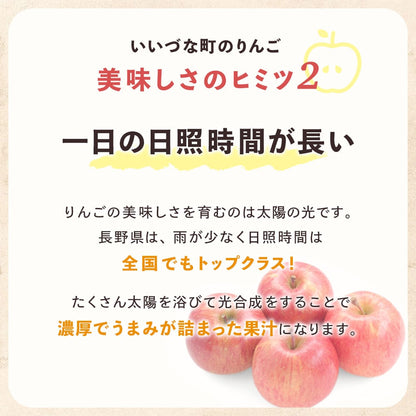 【りんご】 シナノドルチェ 3kg 予約販売 9月中旬以降順次発送 送料込 長野県 飯綱町 家庭用 訳あり みつどんマルシェ