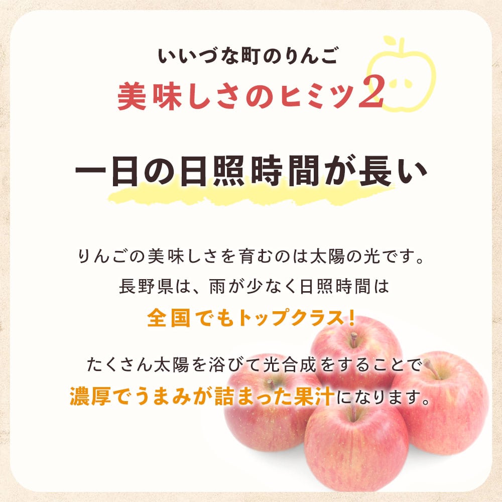 【りんご】 品種おまかせ 赤りんご 3〜5個 個数おまかせ 家庭用 長野県 飯綱町 訳あり みつどんマルシェ