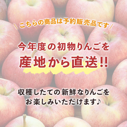 【りんご】 品種おまかせ 赤りんご ５個 家庭用 長野県 飯綱町 訳あり みつどんマルシェ