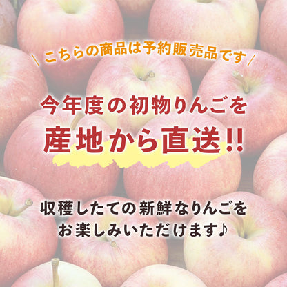 【りんご】 シナノリップ 10kg 予約販売 8月下旬以降順次発送 送料込 長野県 飯綱町 家庭用 訳あり みつどんマルシェ