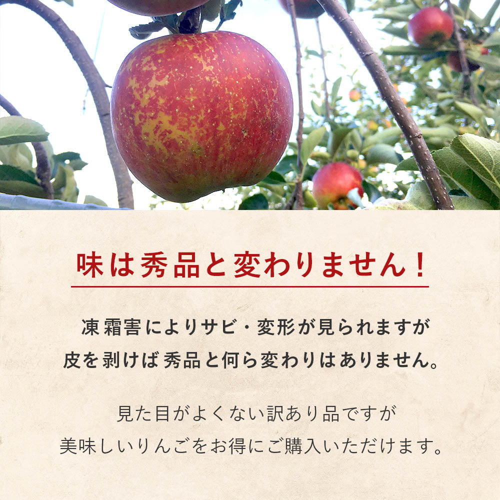 【いいづな霜被害応援！】飯綱町産 りんご サンふじ 10kg 送料込