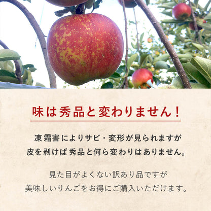【いいづな霜被害応援！】飯綱町産 りんご サンふじ 5kg 送料込