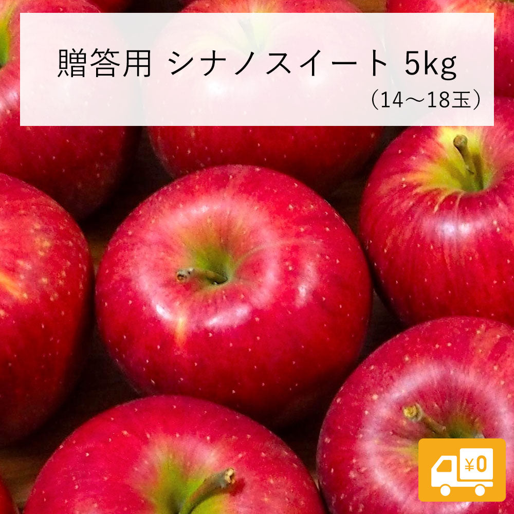 【りんご】 シナノスイート 5kg（ 14～18玉 ） 贈答用 送料込 10月下旬以降順次発送 長野県 飯綱町 みつどんマルシェ