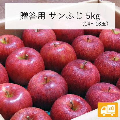 【りんご】 サンふじ 5kg（ 14～18玉 ） 贈答用 送料込 長野県 飯綱町 みつどんマルシェ